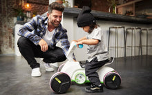 Load image into Gallery viewer, BERG GO Twirl Multicolor Go kart